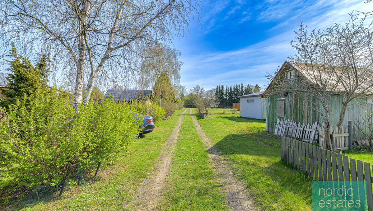 NZ6_6719_ENF