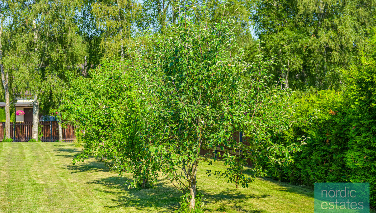Z63_0450_ENF