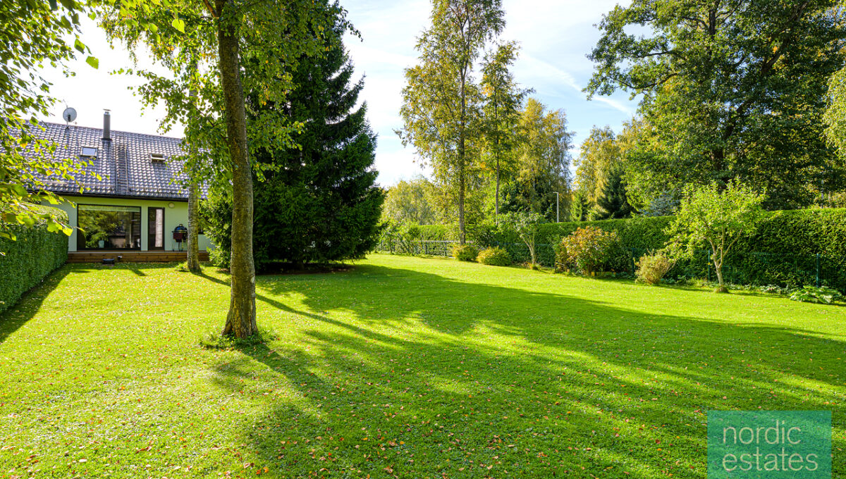 Z63_8931_ENF